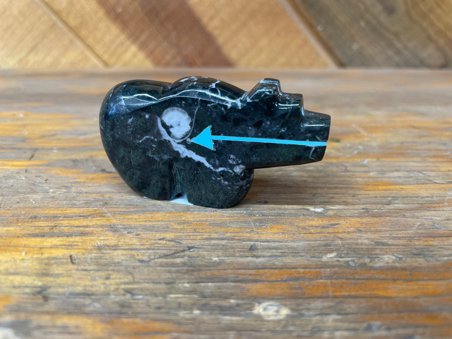 Black Bear Fetish