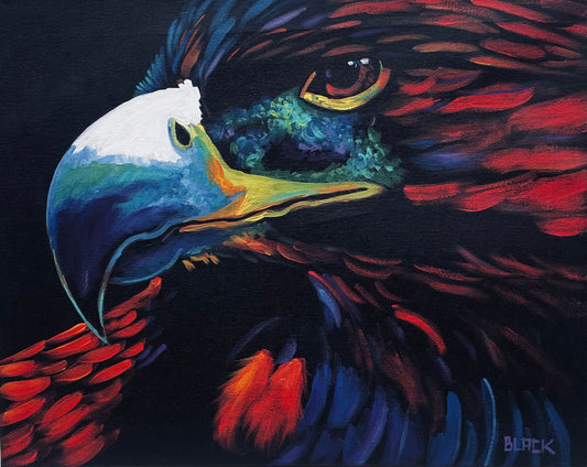 "Red Tail Hawk" By JC Black