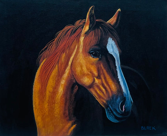 "Horse" by JC Black