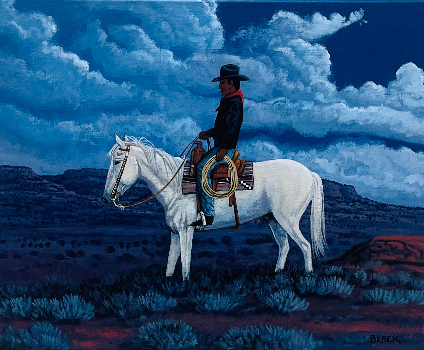 "The Nite Sky" by JC Black