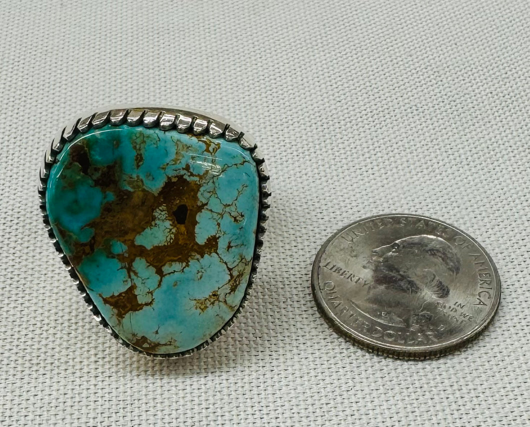 Turquoise and Silver Ring