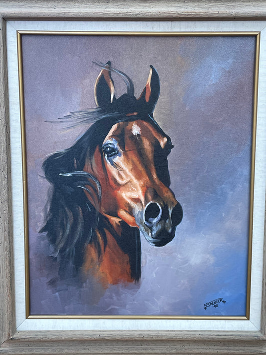 Native American Paintings