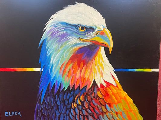 Native American Paintings